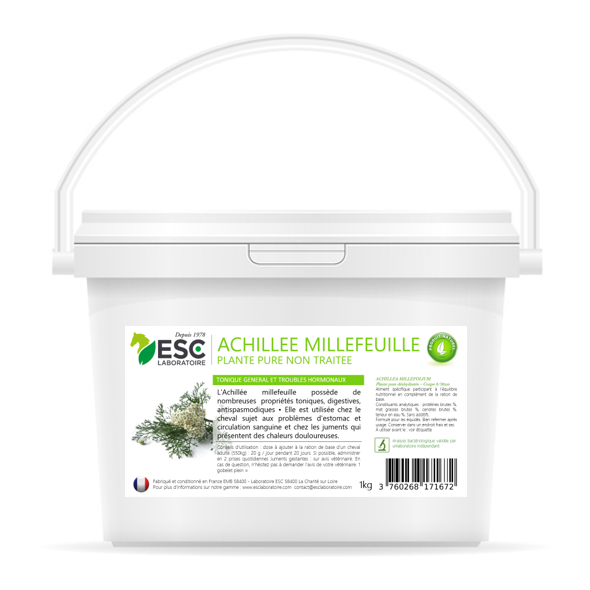 Achillée Millefeuille ESC pour cheval