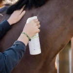Bacticrin utilisation sur un cheval - ESC Laboratoire