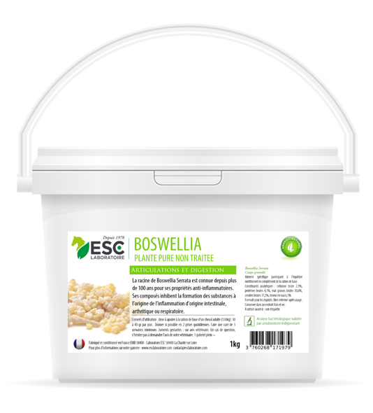 Boswellia cheval ESC