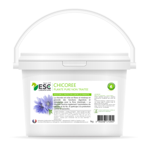 Chicoree cheval ESC Laboratoire