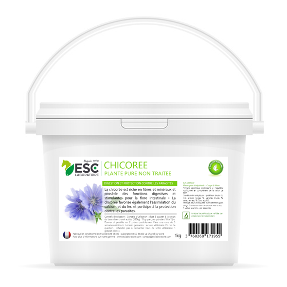 Chicoree cheval ESC Laboratoire