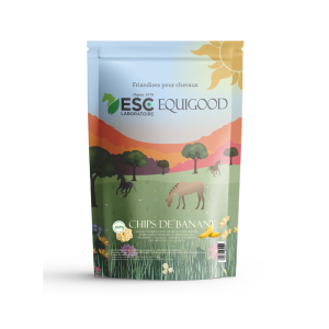 CHIPS DE BANANE Cheval – Friandises sans sucres et naturelles