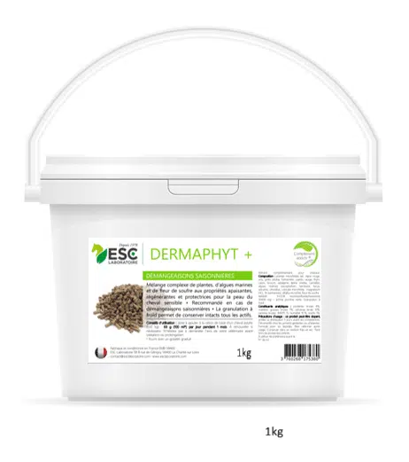 Dermaphyt + Démangeaisons saisonnières cheval