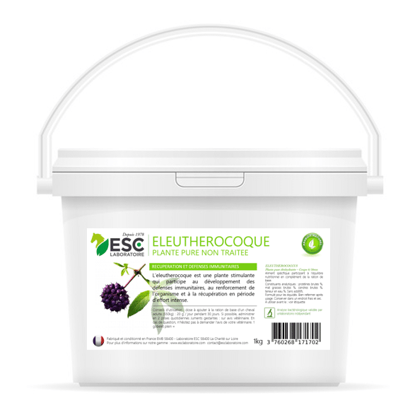 Récupération cheval - Eleuthérocoque - Plante pure - ESC