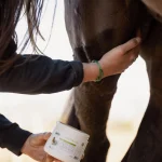 application sur un cheval Fly Neutral Gel d'ESC Laboratoire
