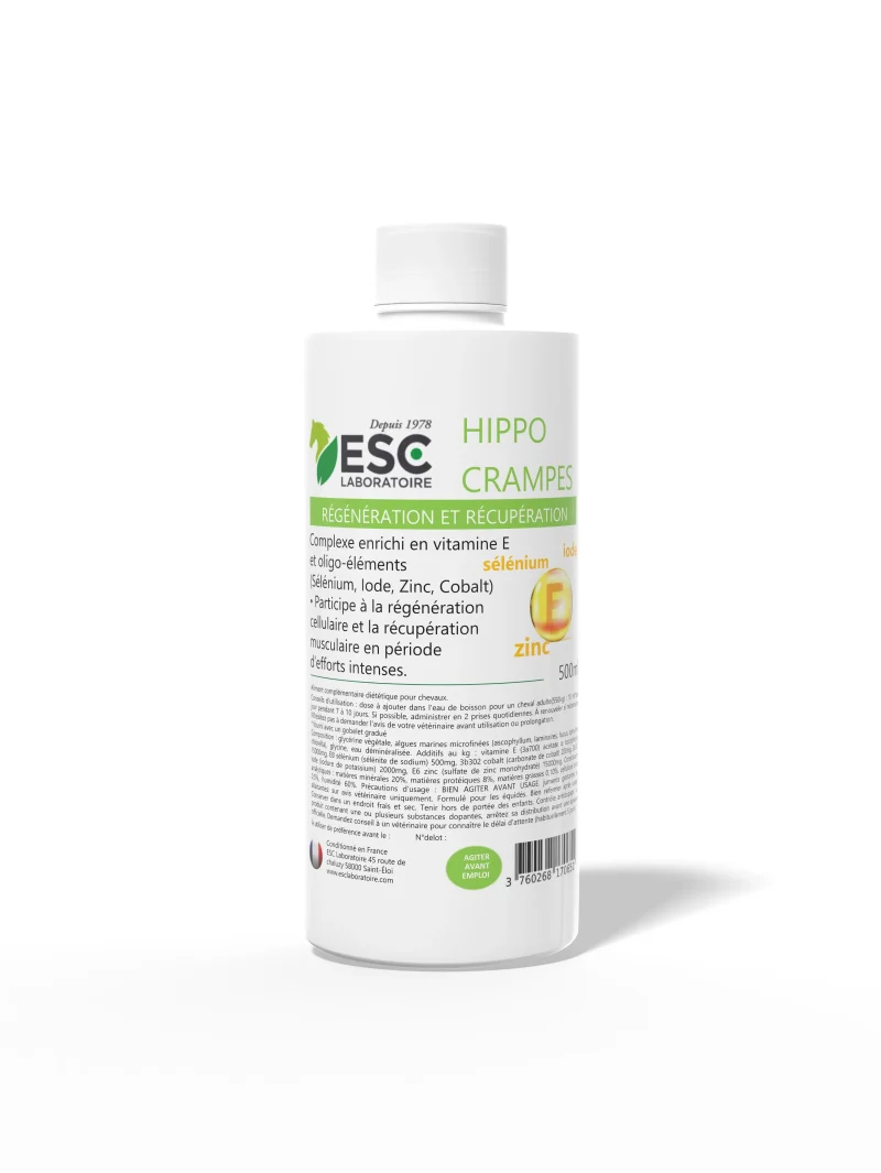 Hippocrampes ESC Laboratoire