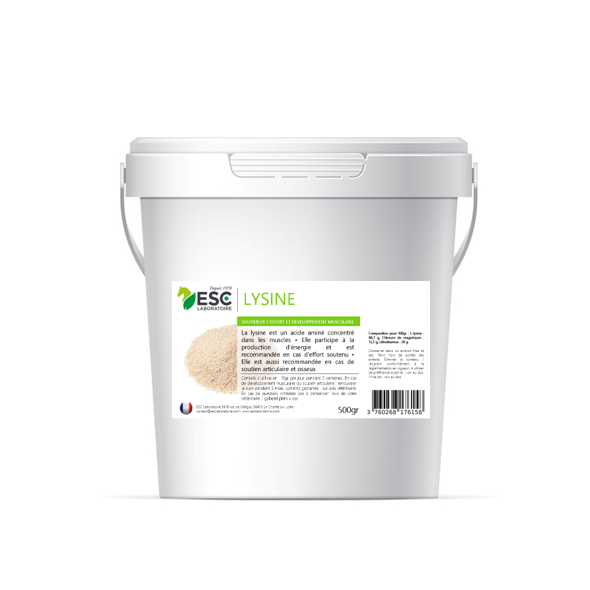 Lysine ESC Laboratoire