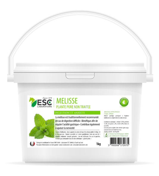 mélisse cheval - confort digestif - ESC Laboratoire