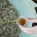 Parasyl dans la ration