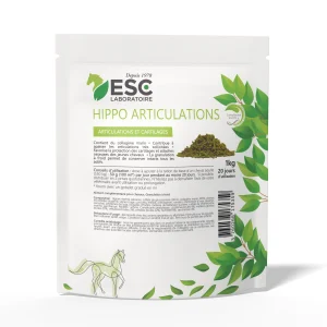 Hippo articulations - ESC Laboratoire