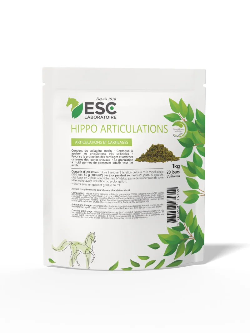 Hippo articulations - ESC Laboratoire