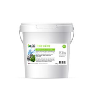 terre marine cheval - Boue de la mer morte