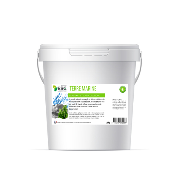 terre marine cheval - Boue de la mer morte