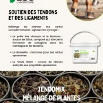 Tendomix soins tendons cheval