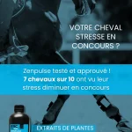 Zenpulse- Stress cheval concours_ ESC