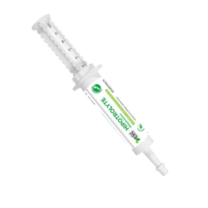 Électrolytes cheval seringue