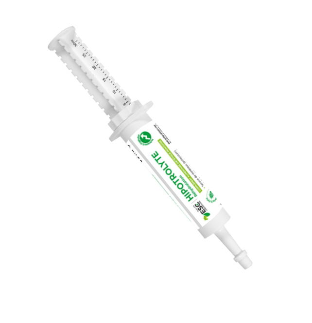 Électrolytes cheval seringue
