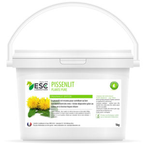 PISSENLIT – Action dépurative et détox cheval – Plante pure