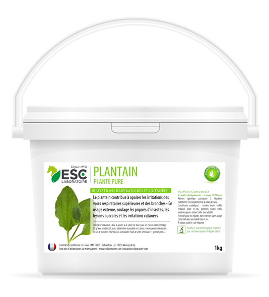 plantain ESC Laboratoire