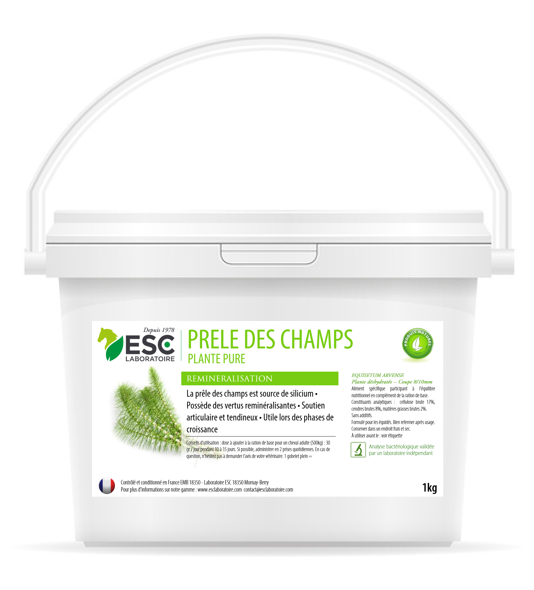 prêle cheval ESC Laboratoire